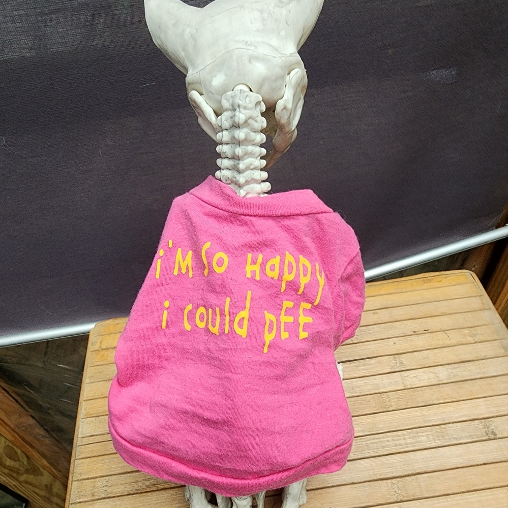Pet t shirt bundle